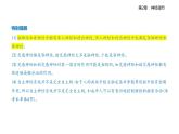 2.1神經(jīng)調(diào)節(jié)的結(jié)構(gòu)基礎(chǔ)知識點串講課件+分層訓(xùn)練-人教版高中生物高二上冊（選必一）
