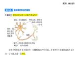 2.1神經(jīng)調(diào)節(jié)的結(jié)構(gòu)基礎(chǔ)知識點串講課件+分層訓(xùn)練-人教版高中生物高二上冊（選必一）