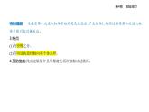 4.3免疫失調(diào)知識(shí)點(diǎn)串講課件+分層訓(xùn)練-人教版高中生物高二上冊(cè)（選必一）