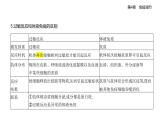 4.3免疫失調(diào)知識(shí)點(diǎn)串講課件+分層訓(xùn)練-人教版高中生物高二上冊(cè)（選必一）