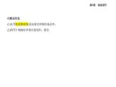 4.3免疫學的應用知識點串講課件+分層訓練-人教版高中生物高二上冊（選必一）