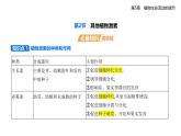 5.2  其他植物激素知識(shí)點(diǎn)串講課件+分層訓(xùn)練-人教版高中生物高二上冊(cè)（選必一）