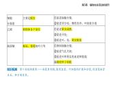 5.2  其他植物激素知識(shí)點(diǎn)串講課件+分層訓(xùn)練-人教版高中生物高二上冊(cè)（選必一）