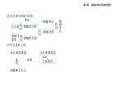 5.2  其他植物激素知識(shí)點(diǎn)串講課件+分層訓(xùn)練-人教版高中生物高二上冊(cè)（選必一）