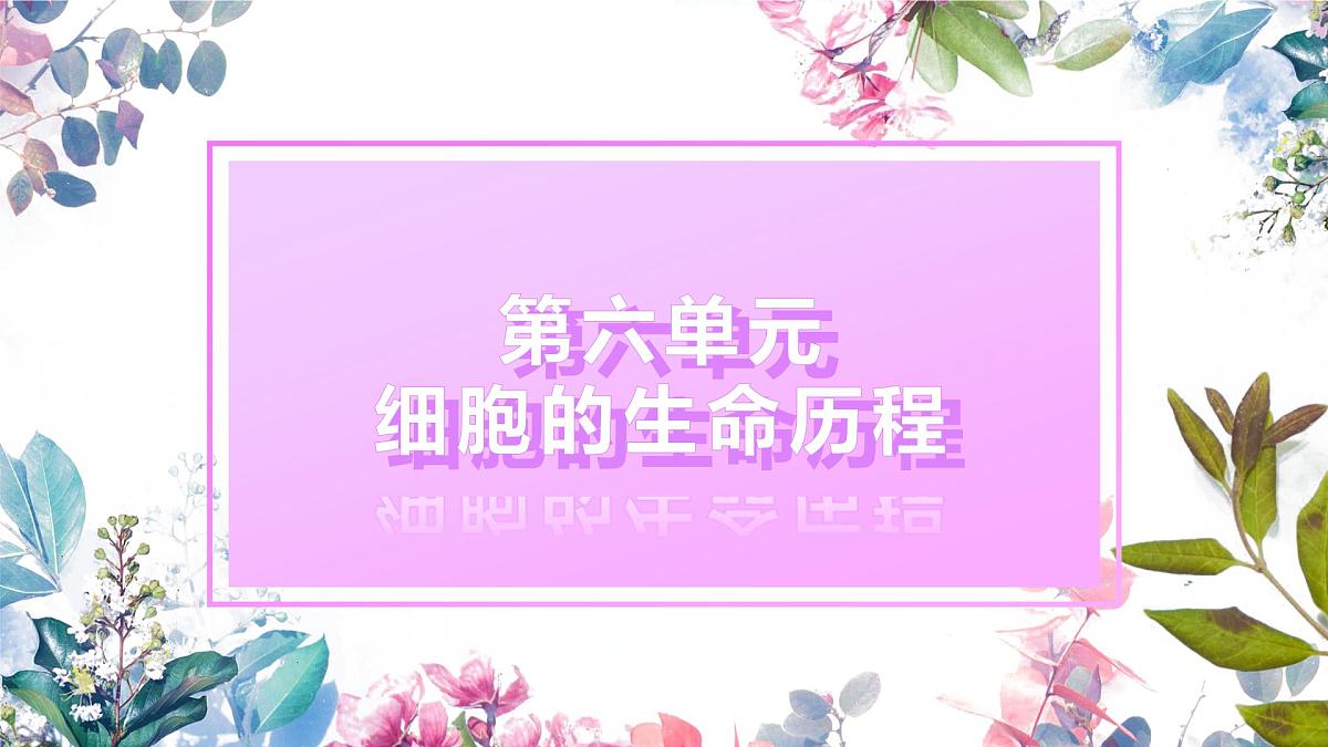 6.3《细胞衰老和死亡》第1页