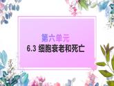人教版2019 高中生物 必修1  第六章 6.3《細(xì)胞衰老和死亡》(PPT+教案)