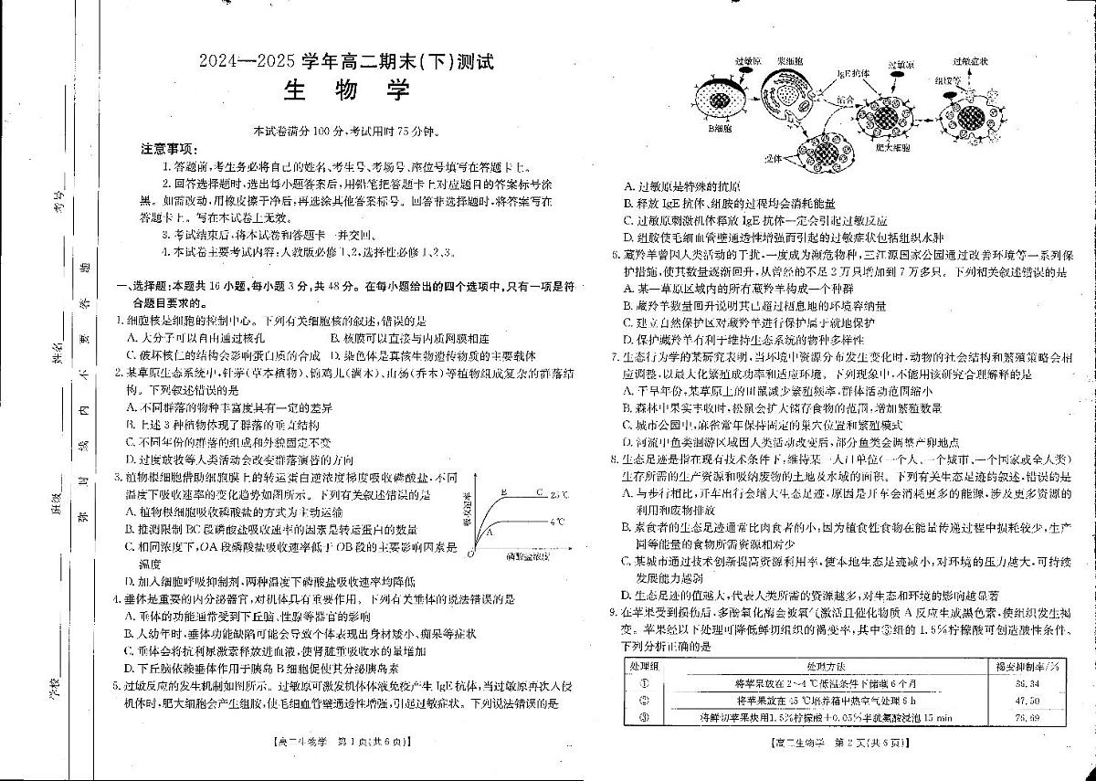河南新乡2024-2025学年下学期高二生物试卷（期末考试）第1页