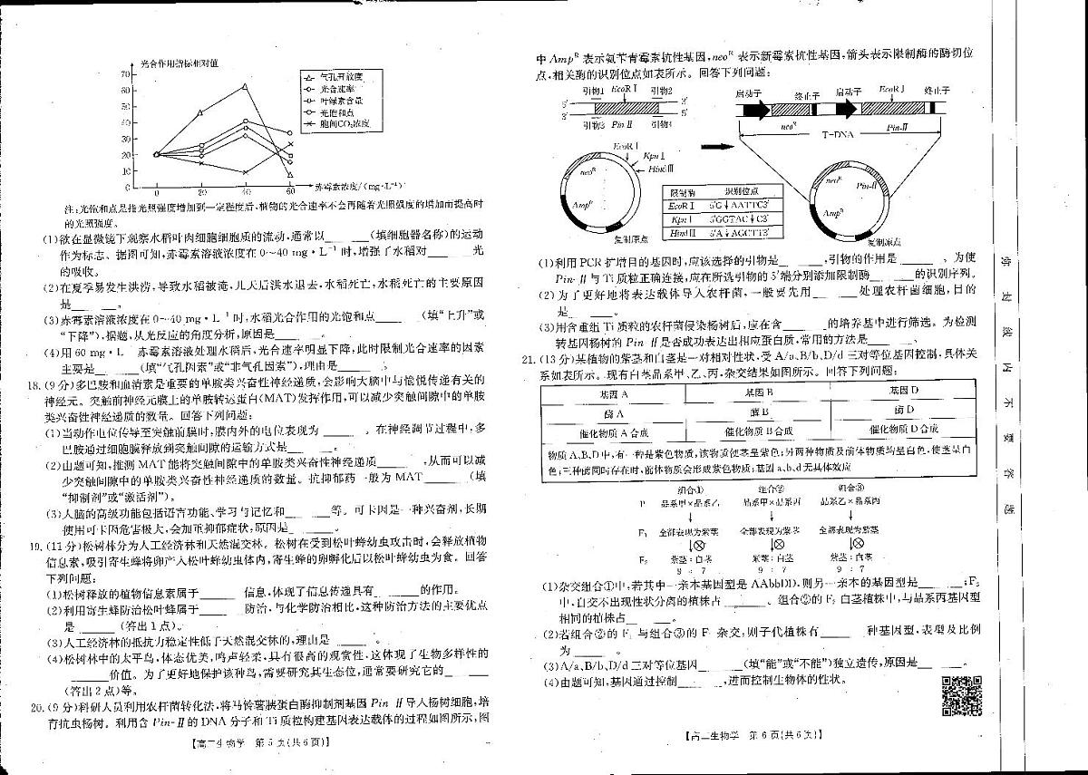 河南新乡2024-2025学年下学期高二生物试卷（期末考试）第2页