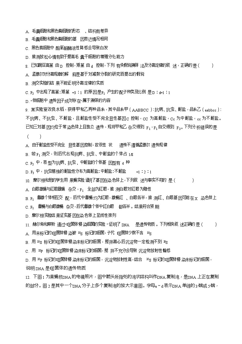 甘肃省平凉市第一中学2024-2025学年高一下学期期末测试生物试卷第3页