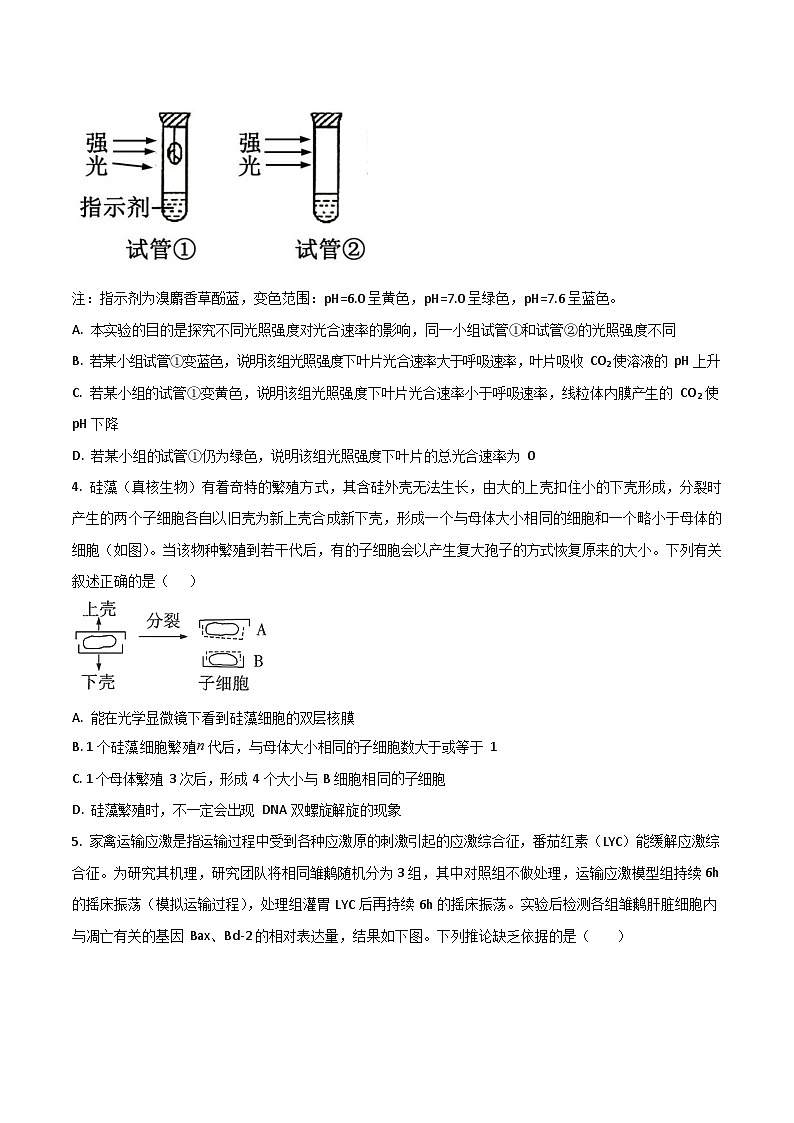 重庆市第八中学校2024-2025学年高一下学期7月期末考试生物试卷第2页