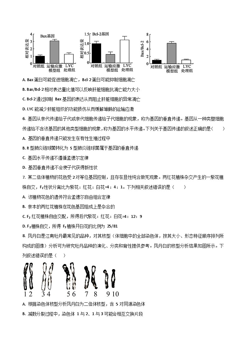 重庆市第八中学校2024-2025学年高一下学期7月期末考试生物试卷第3页