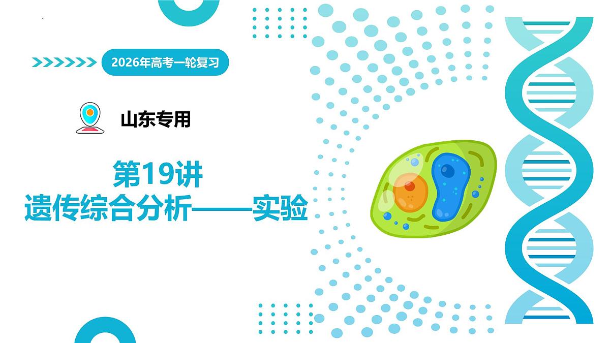 第19讲+遗传综合分析——实验（复习课件）（山东专用）2026年高考生物一轮复习讲练测第1页
