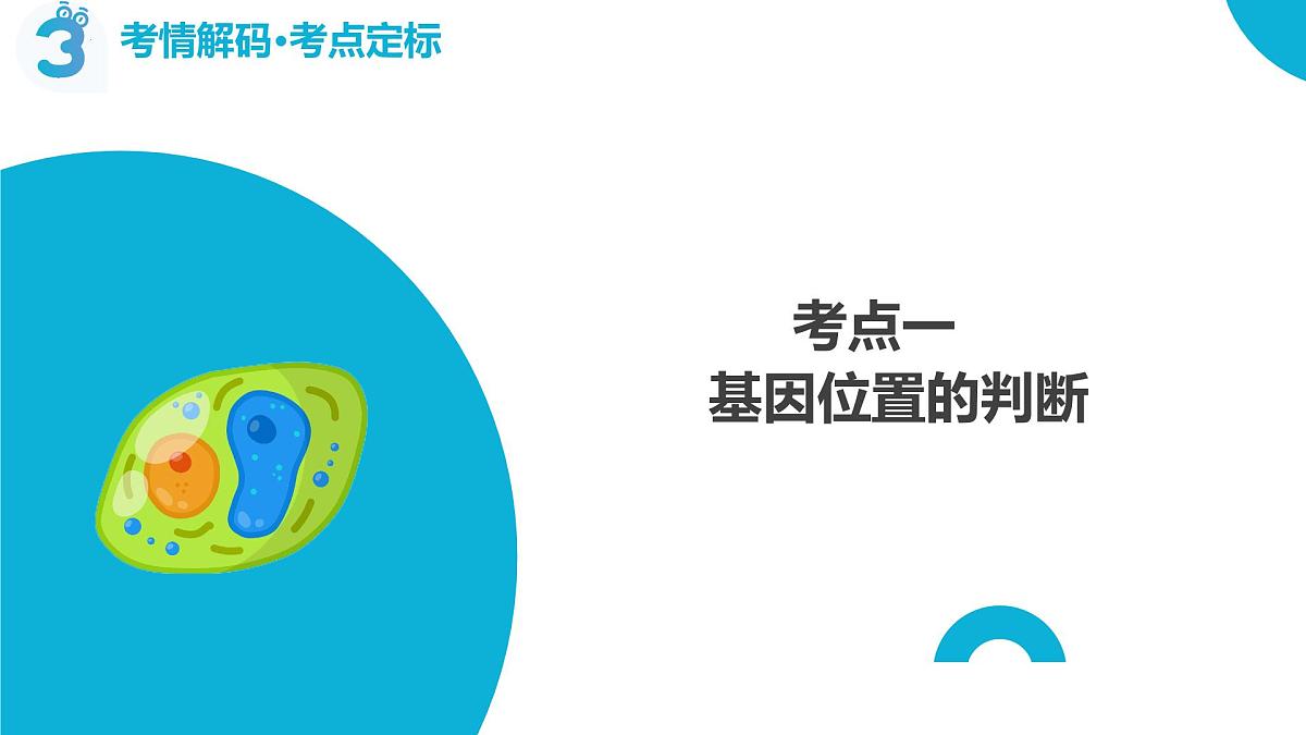 第19讲+遗传综合分析——实验（复习课件）（山东专用）2026年高考生物一轮复习讲练测第6页