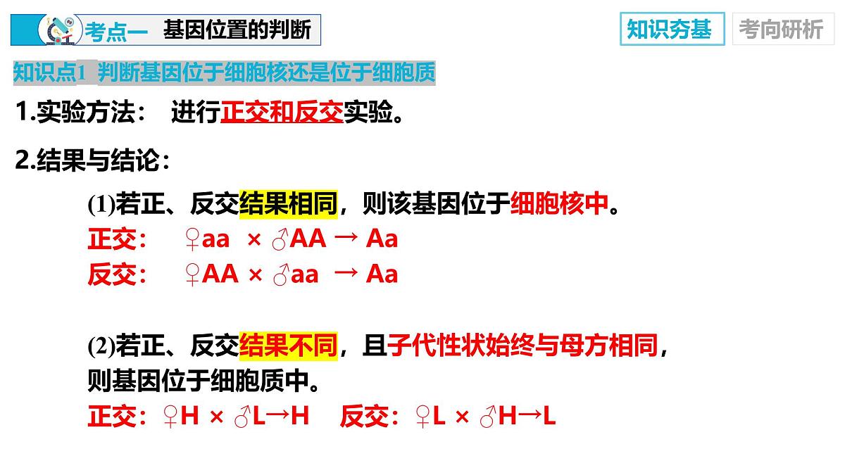 第19讲+遗传综合分析——实验（复习课件）（山东专用）2026年高考生物一轮复习讲练测第7页
