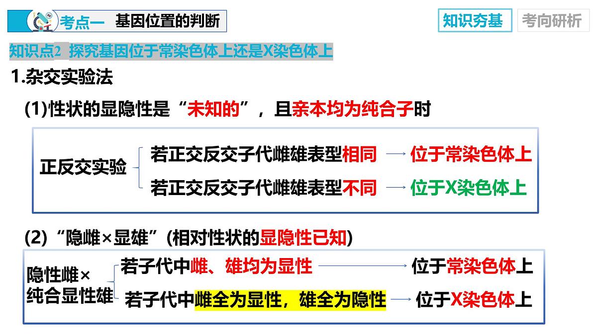第19讲+遗传综合分析——实验（复习课件）（山东专用）2026年高考生物一轮复习讲练测第8页