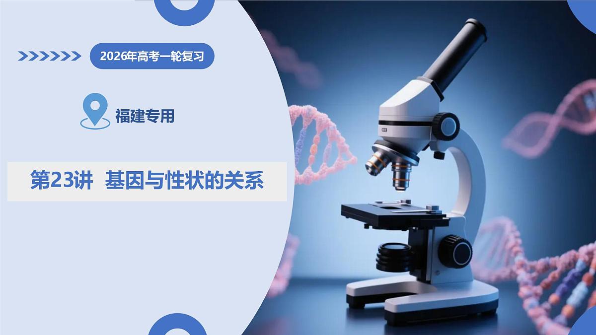 第23讲+基因与性状的关系（复习课件）（福建专用）2026年高考生物一轮复习讲练测第1页