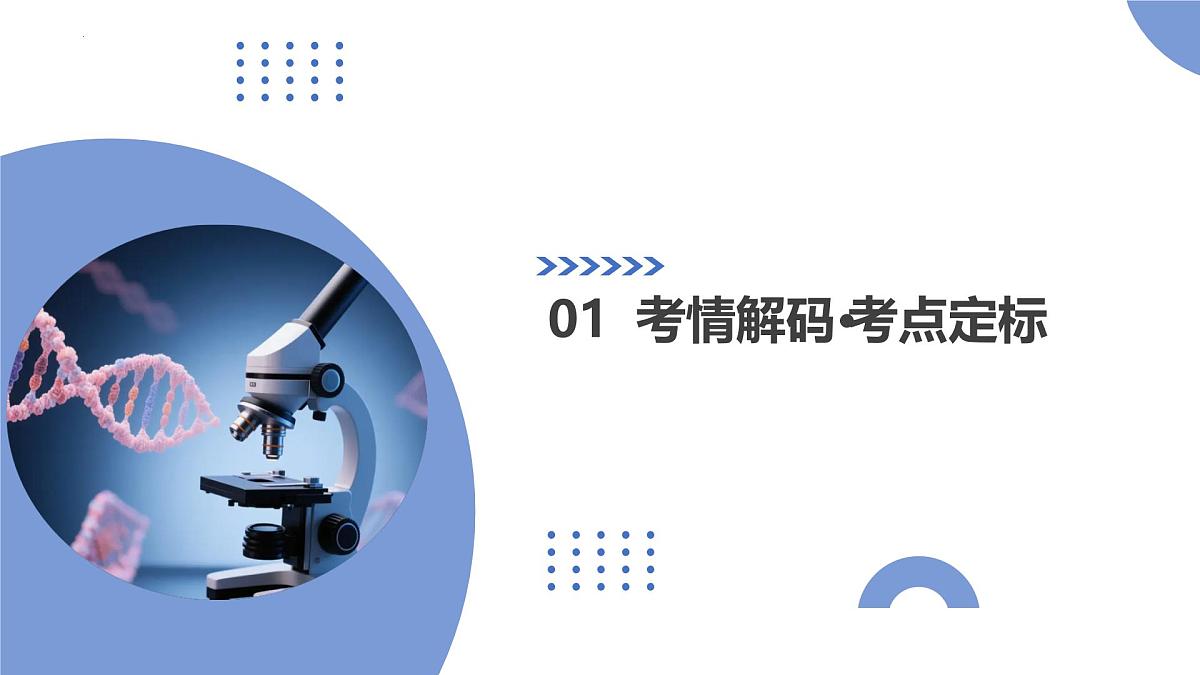 第23讲+基因与性状的关系（复习课件）（福建专用）2026年高考生物一轮复习讲练测第3页