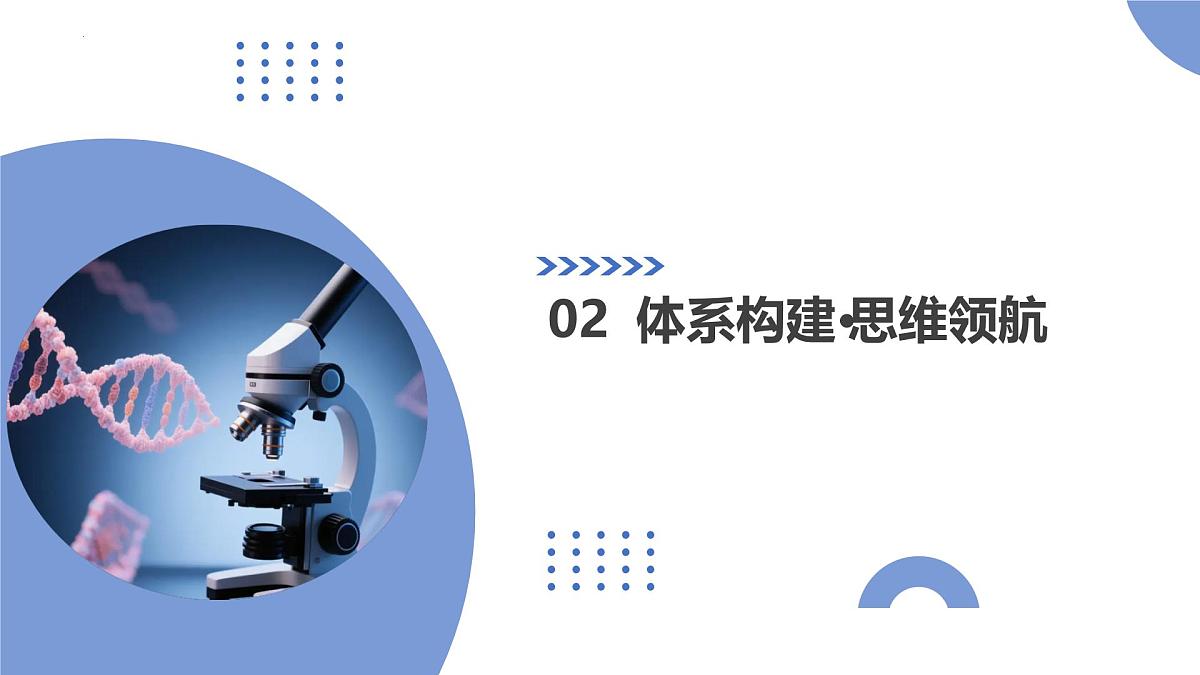 第23讲+基因与性状的关系（复习课件）（福建专用）2026年高考生物一轮复习讲练测第6页