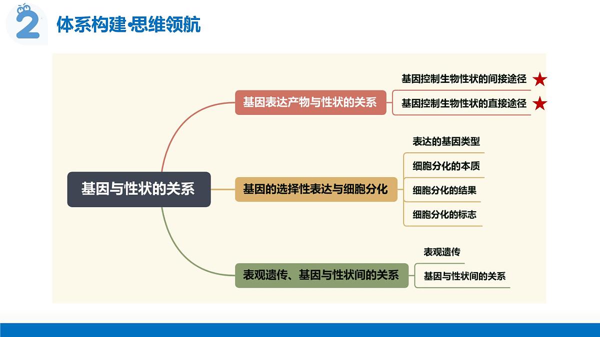 第23讲+基因与性状的关系（复习课件）（福建专用）2026年高考生物一轮复习讲练测第7页