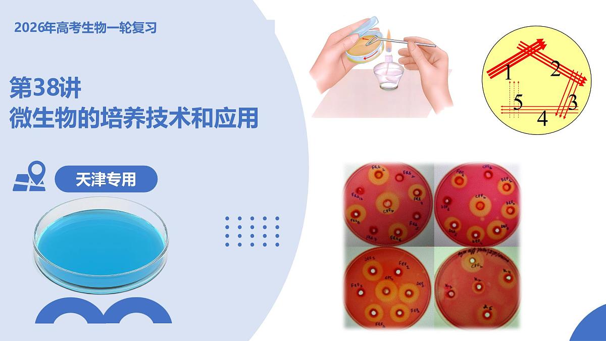 第38讲+微生物的培养技术和应用（复习课件）（天津专用）2026年高考生物一轮复习讲练测第1页