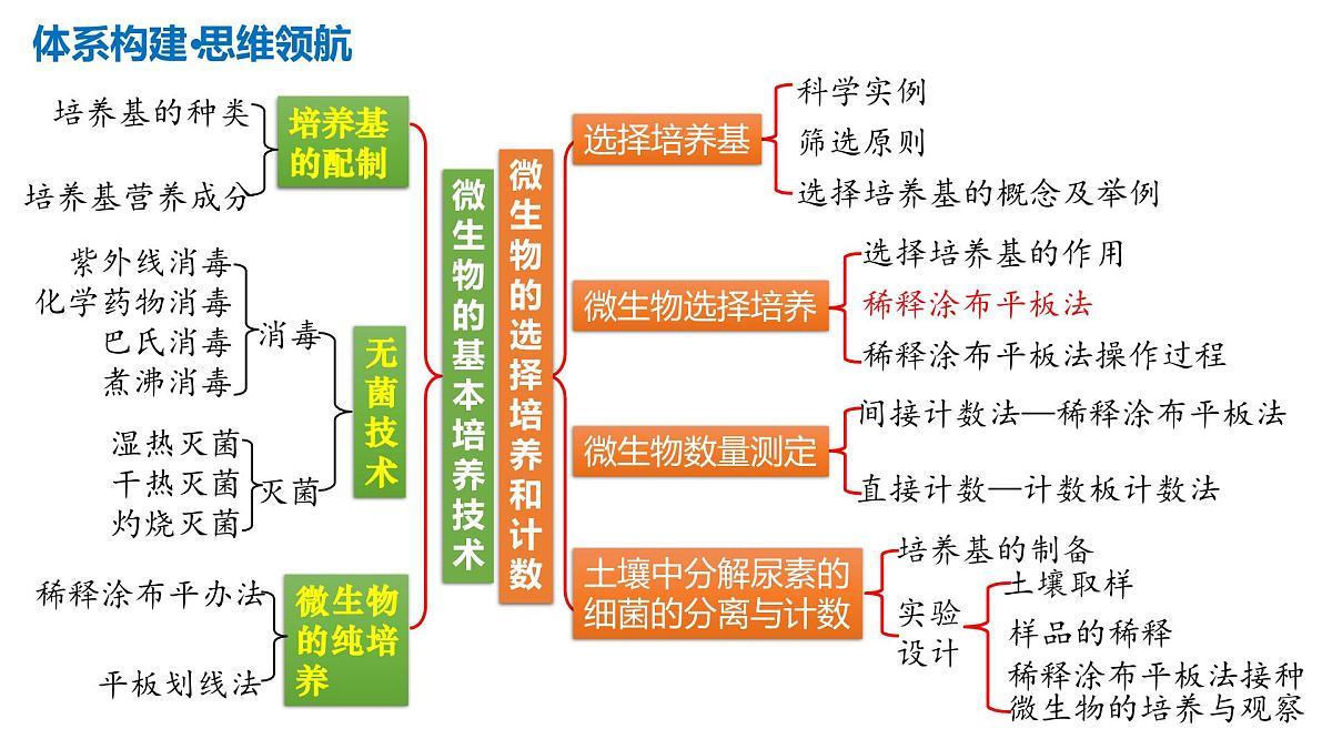 第38讲+微生物的培养技术和应用（复习课件）（天津专用）2026年高考生物一轮复习讲练测第7页