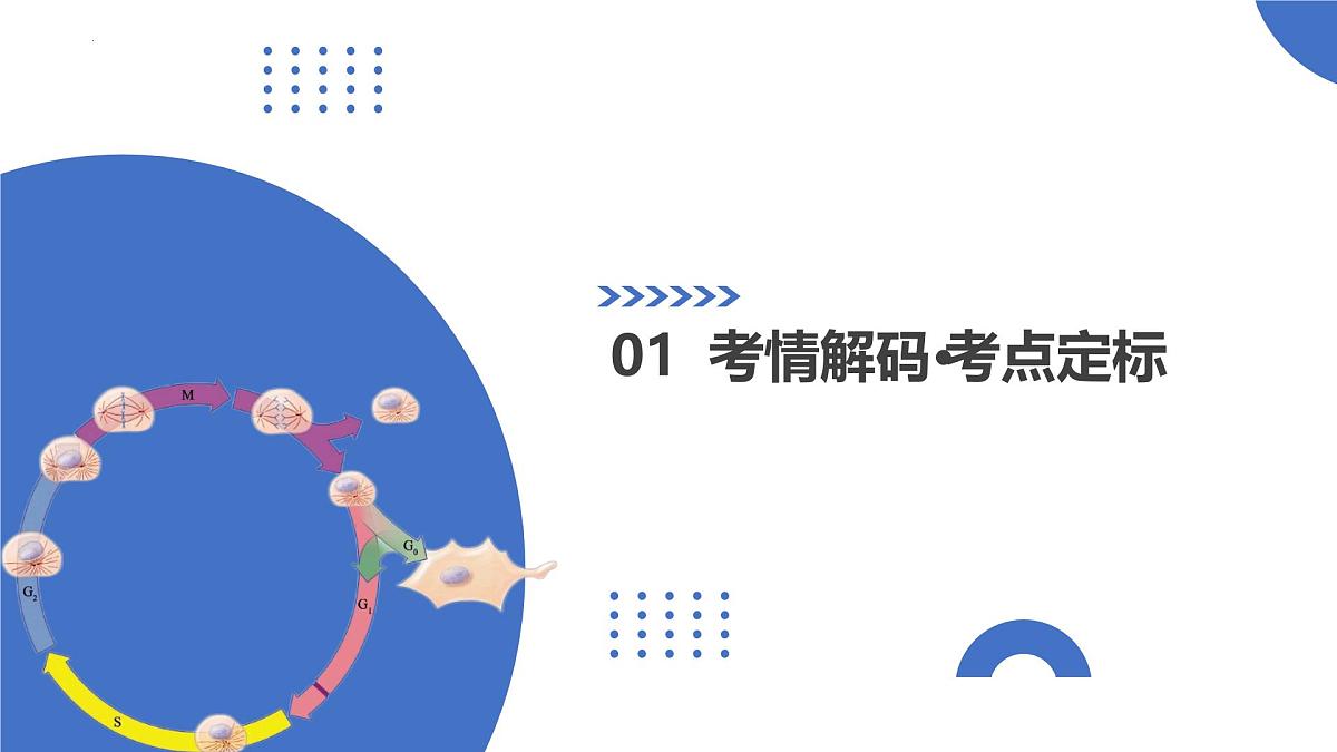 第13讲+减数分裂和受精作用（复习课件）（天津专用）2026年高考生物一轮复习讲练测第2页