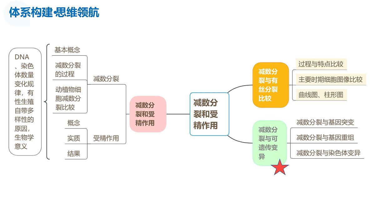 第13讲+减数分裂和受精作用（复习课件）（天津专用）2026年高考生物一轮复习讲练测第6页