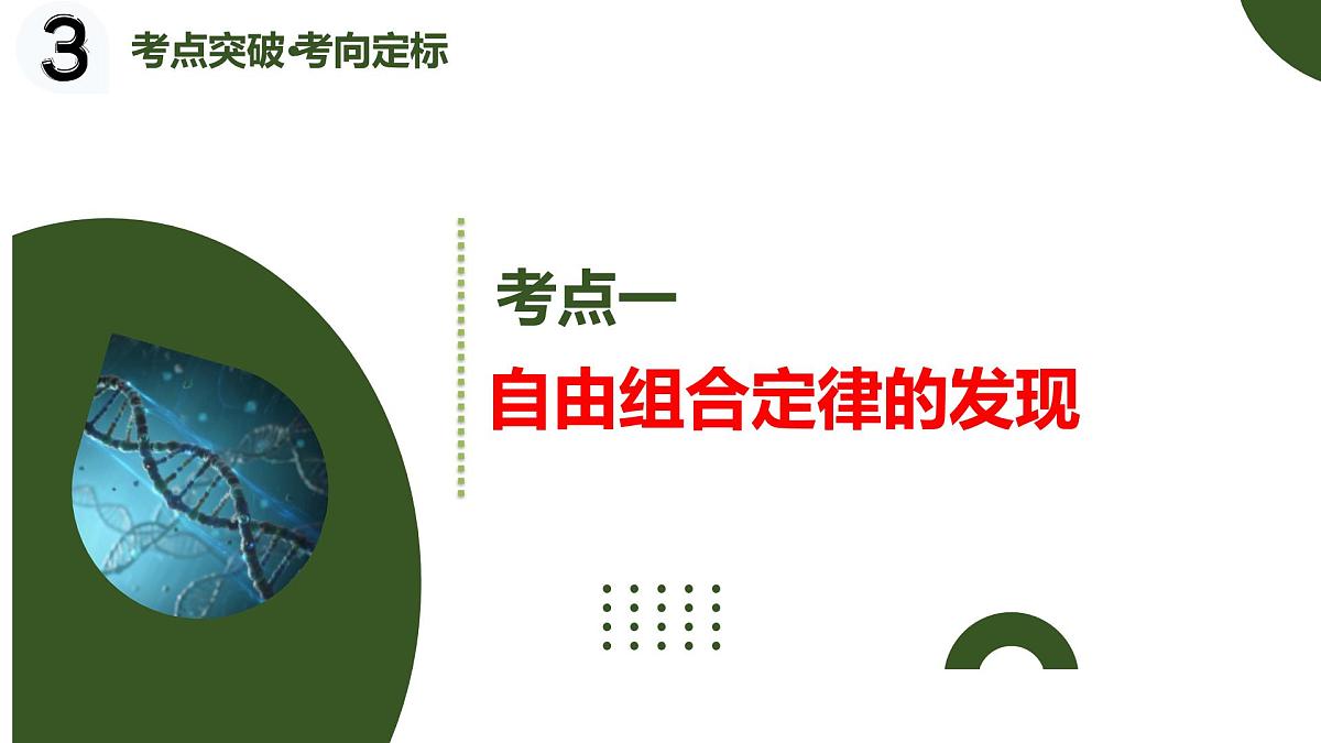 第15讲+自由组合定律（复习课件）（黑吉辽蒙专用）2026年高考生物一轮复习讲讲练测第5页