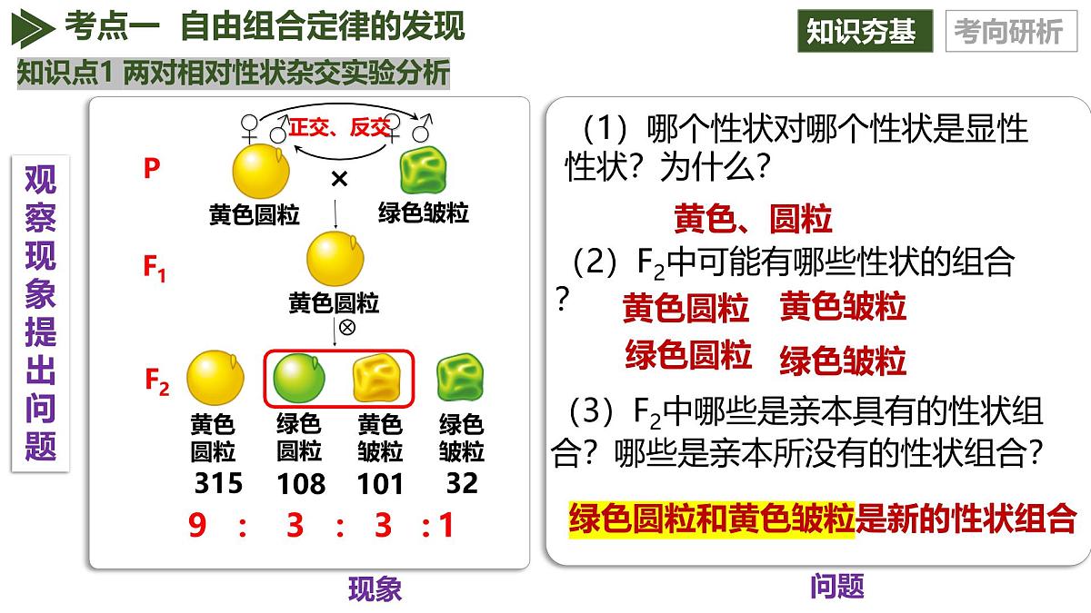 第15讲+自由组合定律（复习课件）（黑吉辽蒙专用）2026年高考生物一轮复习讲讲练测第6页