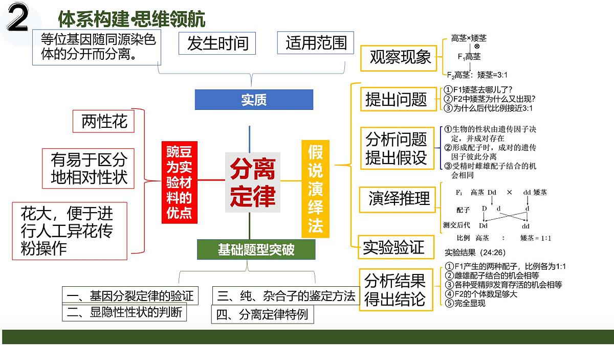 第14讲+分离定律（复习课件）（黑吉辽蒙专用）2026年高考生物一轮复习讲练测第4页