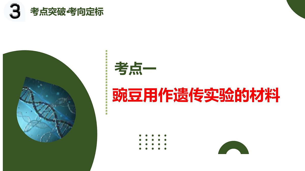 第14讲+分离定律（复习课件）（黑吉辽蒙专用）2026年高考生物一轮复习讲练测第5页