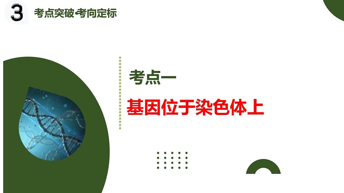 第16讲+伴性遗传和人类遗传病（复习课件）（黑吉辽蒙专用）2026年高考生物一轮复习讲练测第5页