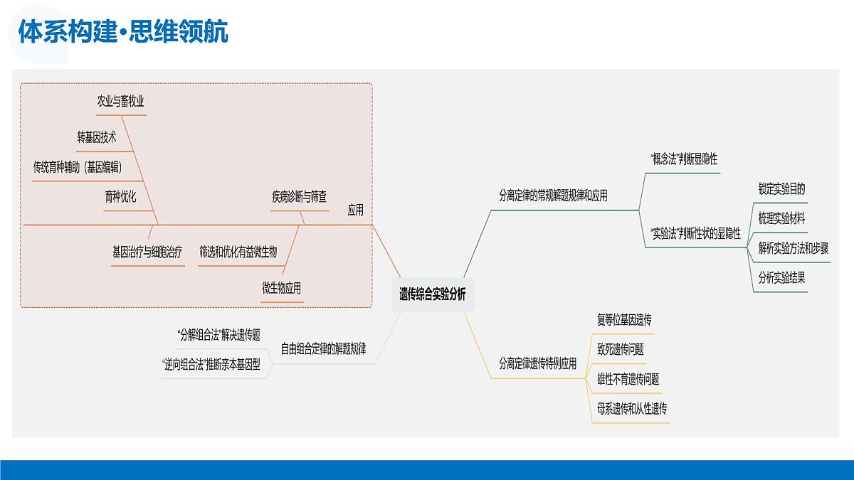 第18讲+遗传综合实验分析（复习课件）（湖南专用）2026年高考生物一轮复习讲练测第7页