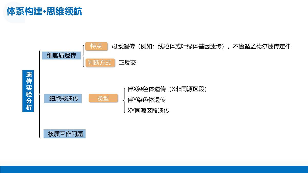 第18讲+遗传综合实验分析（复习课件）（四川专用）2026年高考生物一轮复习讲练测第6页
