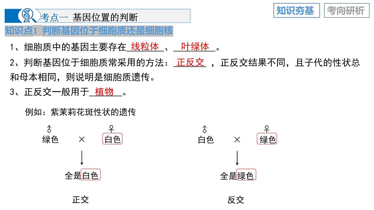 第18讲+遗传综合实验分析（复习课件）（四川专用）2026年高考生物一轮复习讲练测第8页