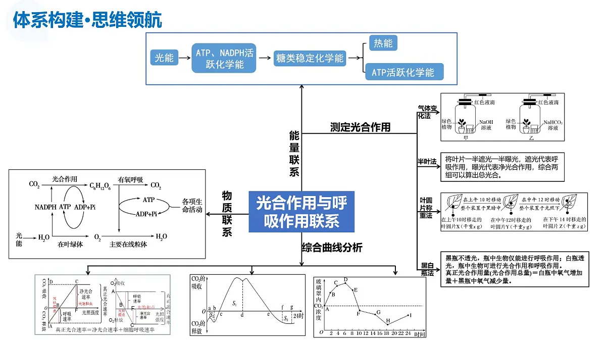 第11讲+细胞代谢综合分析（复习课件）（湖南专用）2026年高考生物一轮复习讲练测第7页