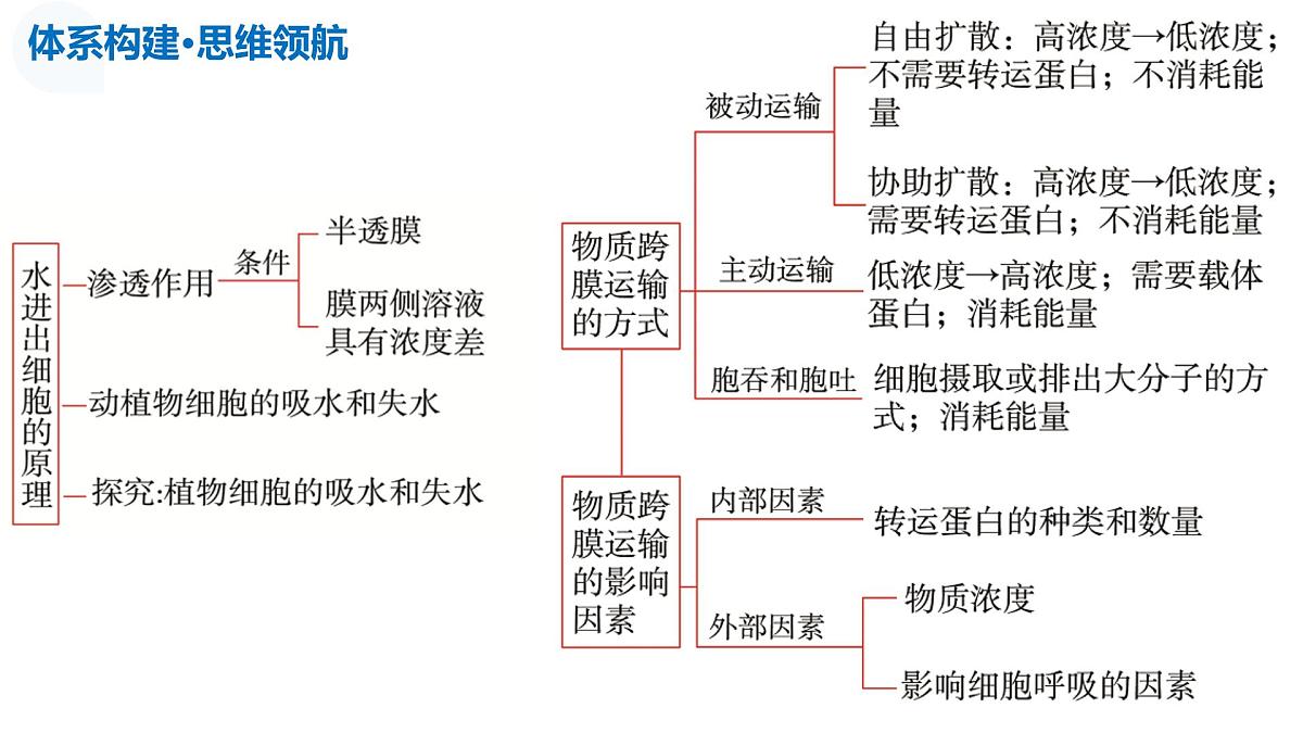 第07讲+物质运输（复习课件）（天津专用）2026年高考生物一轮复习讲练测第7页