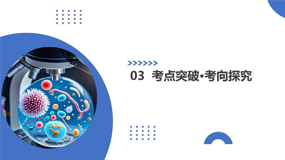 第07讲+物质运输（复习课件）（天津专用）2026年高考生物一轮复习讲练测第8页