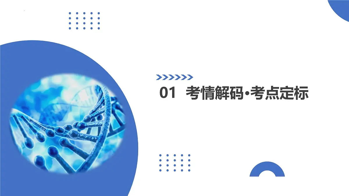 第19讲+遗传综合实验分析（复习课件）（安徽专用）2026年高考生物一轮复习讲练测第3页