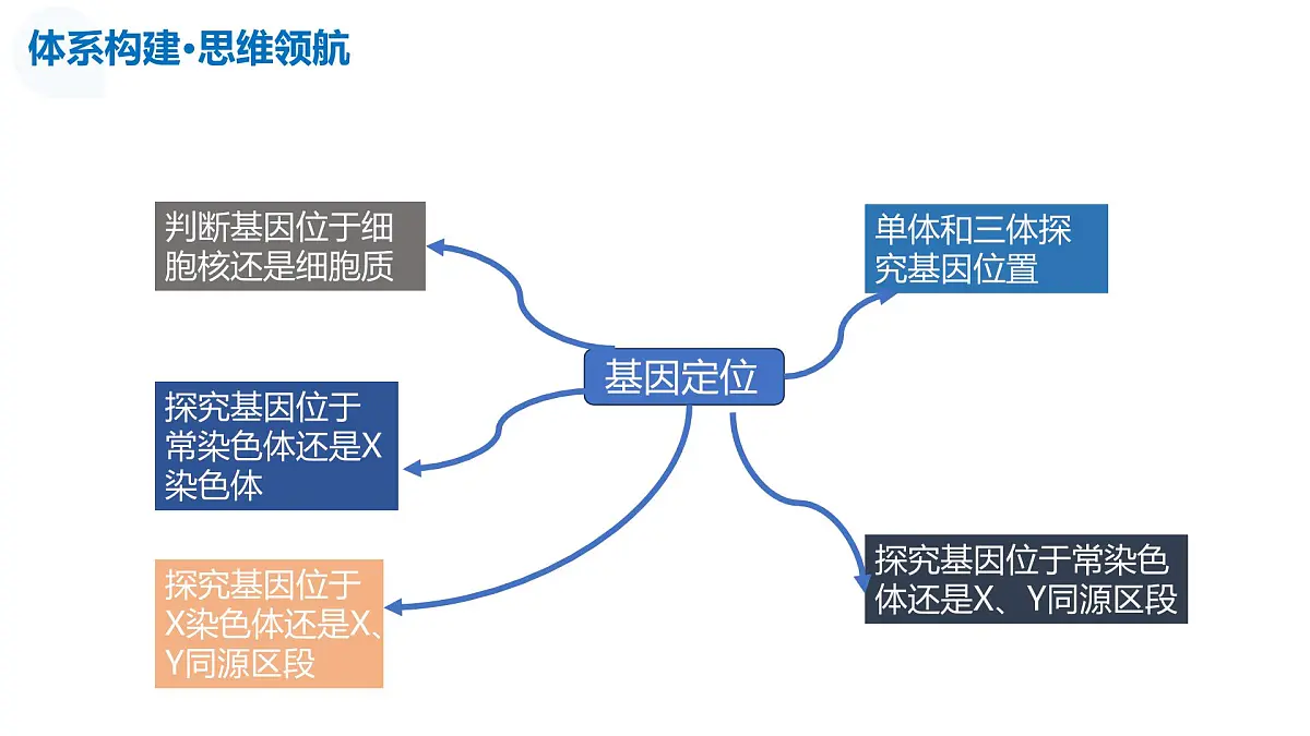 第19讲+遗传综合实验分析（复习课件）（安徽专用）2026年高考生物一轮复习讲练测第7页