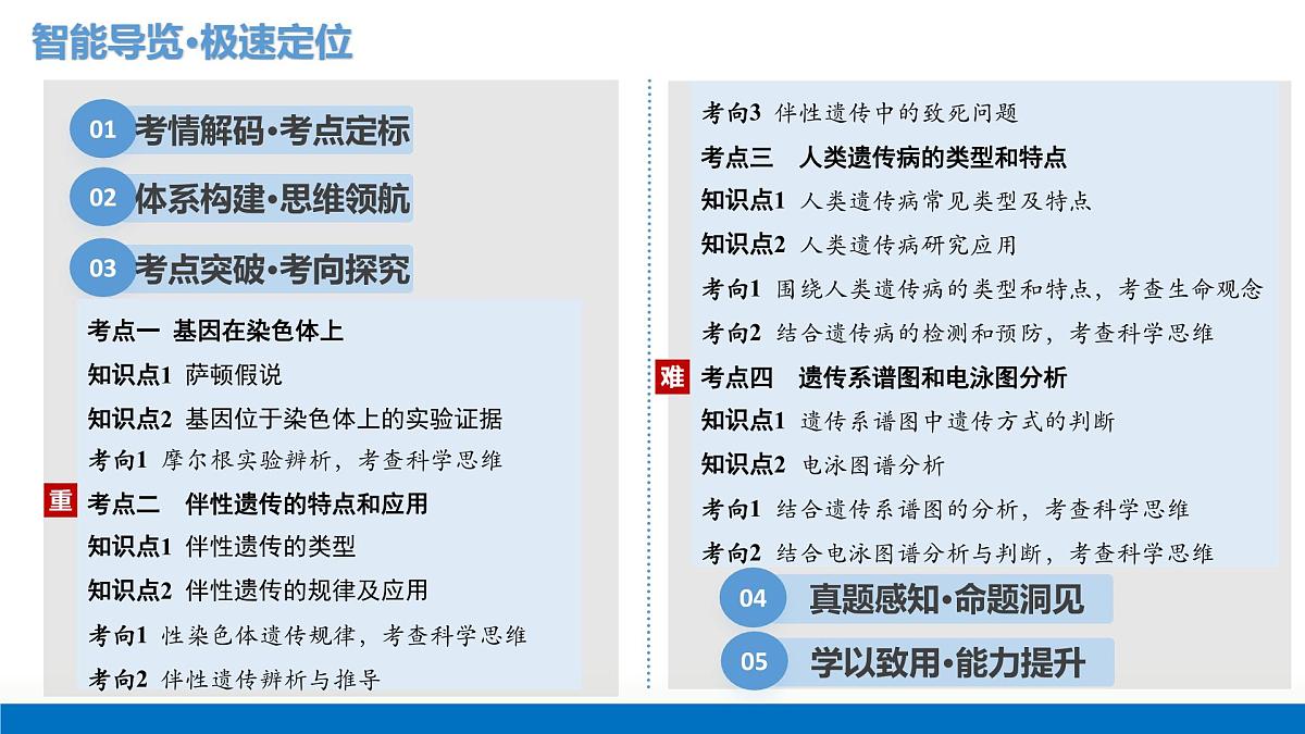 第17讲+伴性遗传和人类遗传病+（复习课件）（四川专用）2026年高考生物一轮复习讲练测第2页