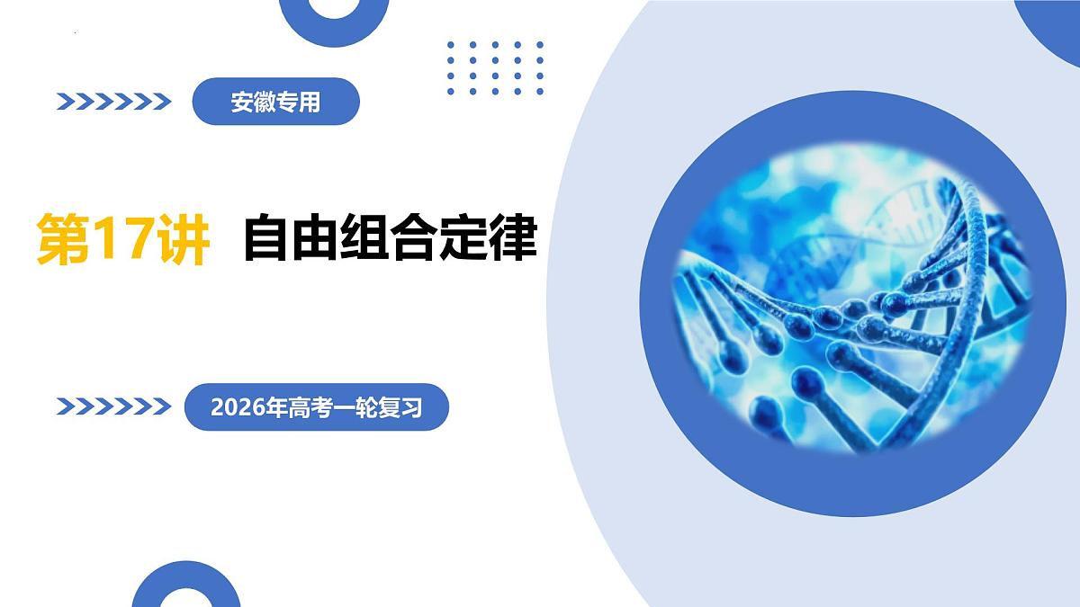 第17讲+自由组合定律（复习课件）（安徽专用）2026年高考生物一轮讲练测第1页