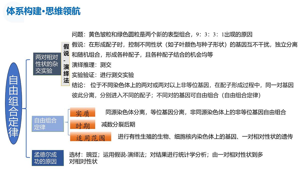 第17讲+自由组合定律（复习课件）（安徽专用）2026年高考生物一轮讲练测第7页