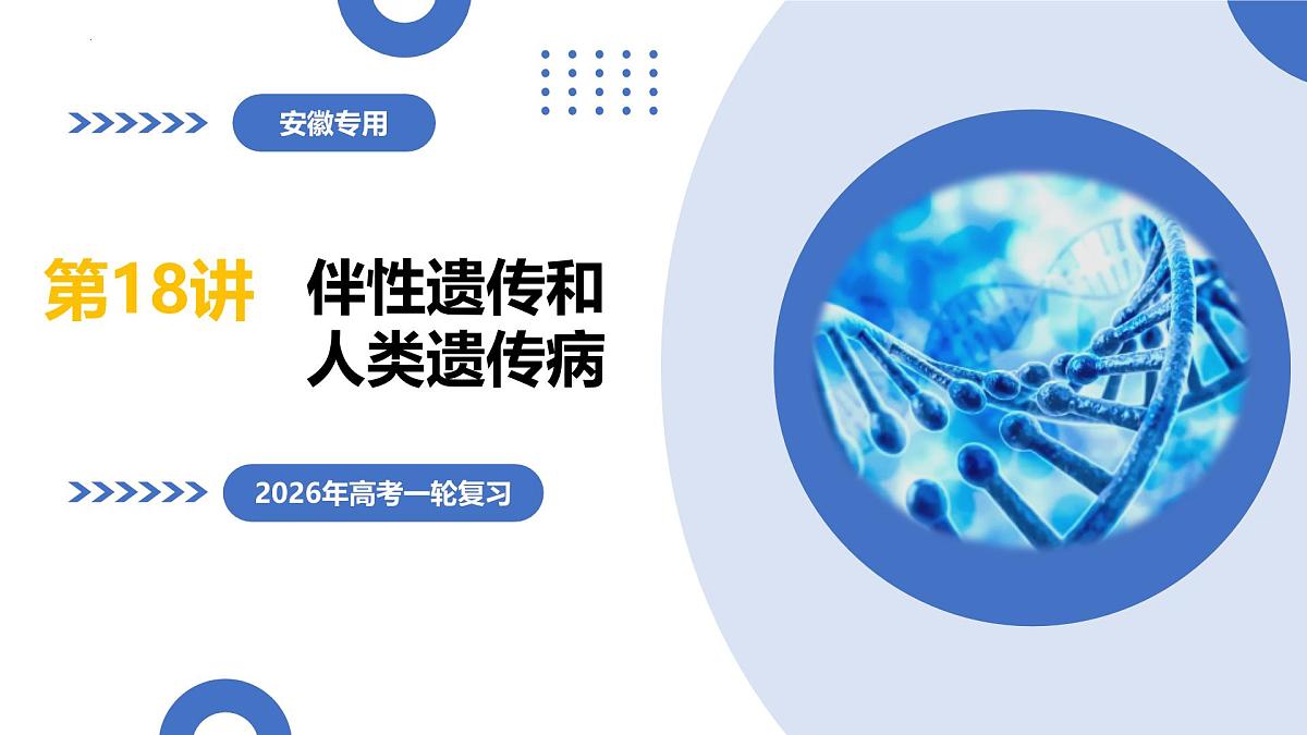 第18讲+伴性遗传和人类遗传病（复习课件）（安徽专用）2026年高考生物一轮讲练测第1页