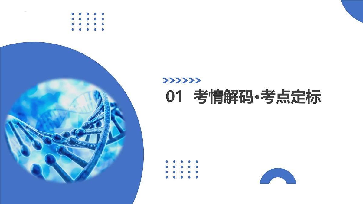 第18讲+伴性遗传和人类遗传病（复习课件）（安徽专用）2026年高考生物一轮讲练测第3页
