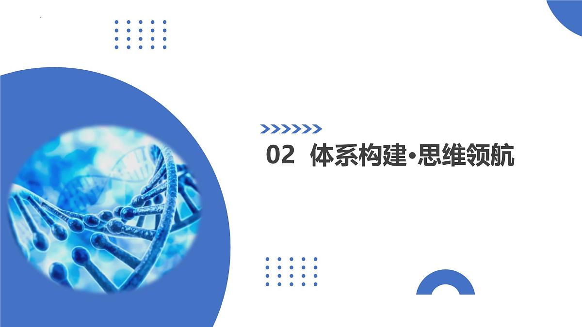 第18讲+伴性遗传和人类遗传病（复习课件）（安徽专用）2026年高考生物一轮讲练测第6页
