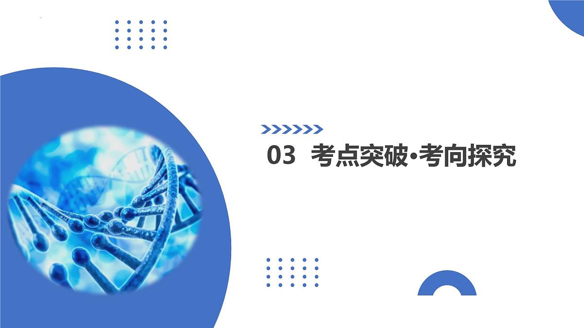 第18讲+伴性遗传和人类遗传病（复习课件）（安徽专用）2026年高考生物一轮讲练测第8页