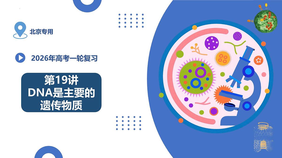 第19讲++DNA是主要的遗传物质（复习课件）（北京专用）2026年高考生物一轮复习讲练测第1页