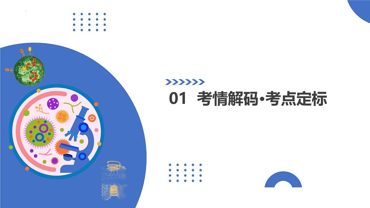 第19讲++DNA是主要的遗传物质（复习课件）（北京专用）2026年高考生物一轮复习讲练测第3页
