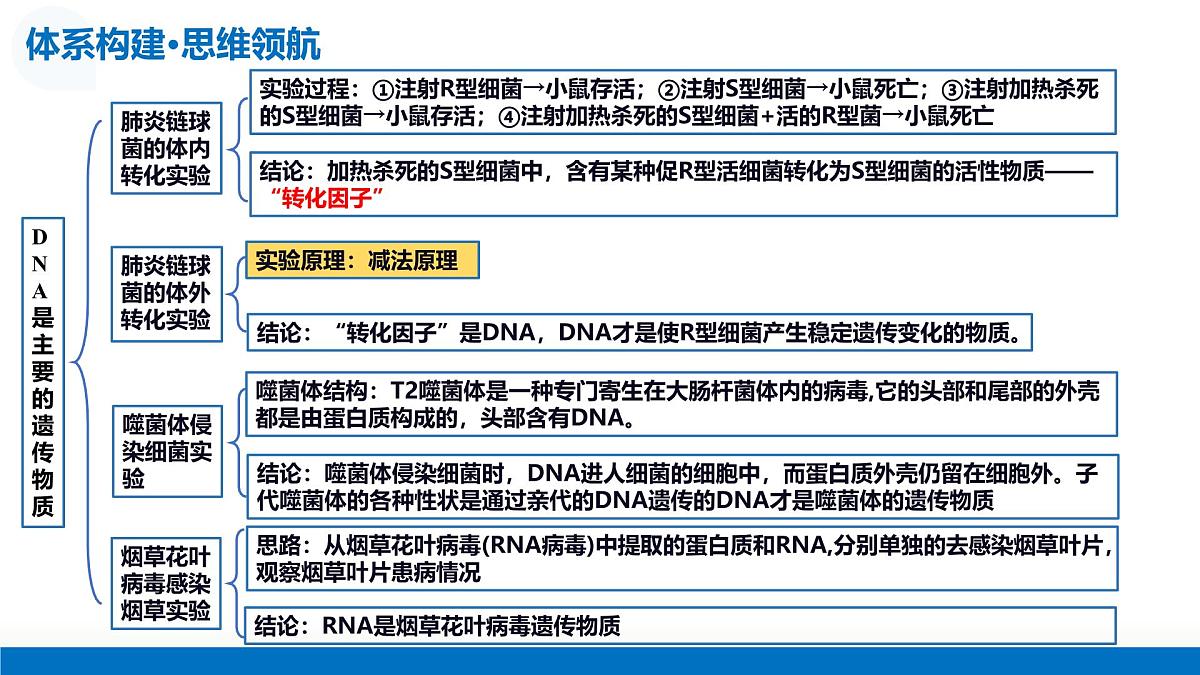 第19讲++DNA是主要的遗传物质（复习课件）（北京专用）2026年高考生物一轮复习讲练测第6页